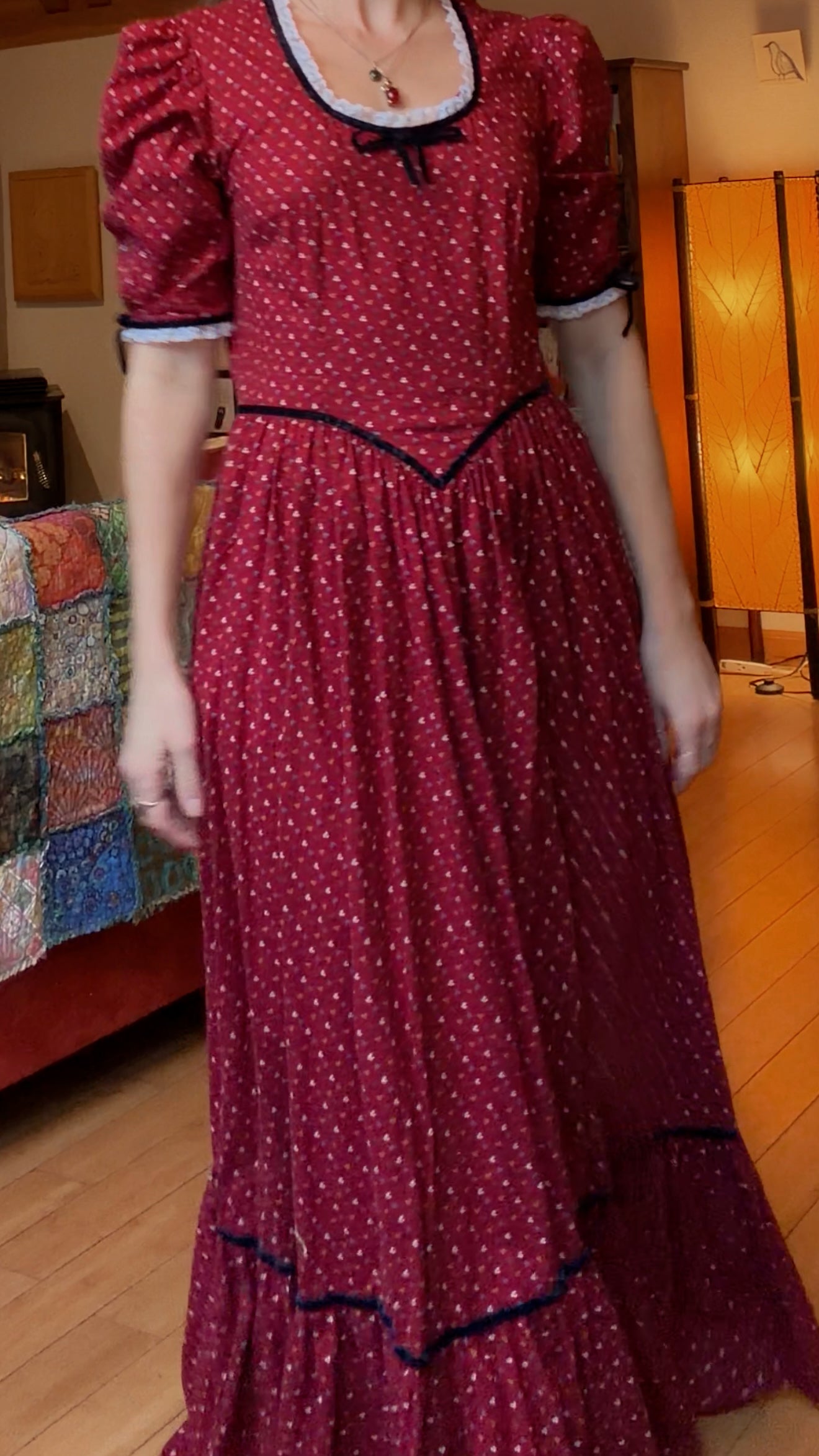 Iconic Vintage Holiday Prairie Dress